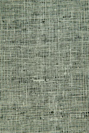 Silk Tweed BGP 78 Fabric